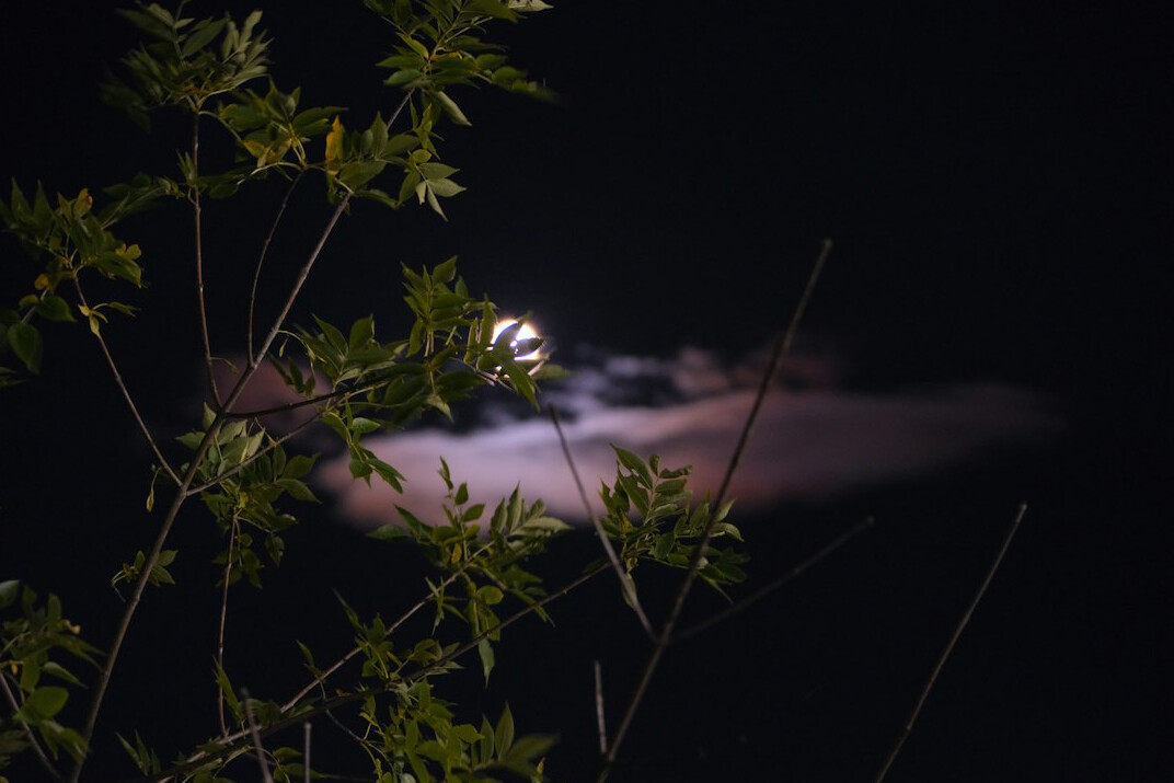 ufo sighting night sky